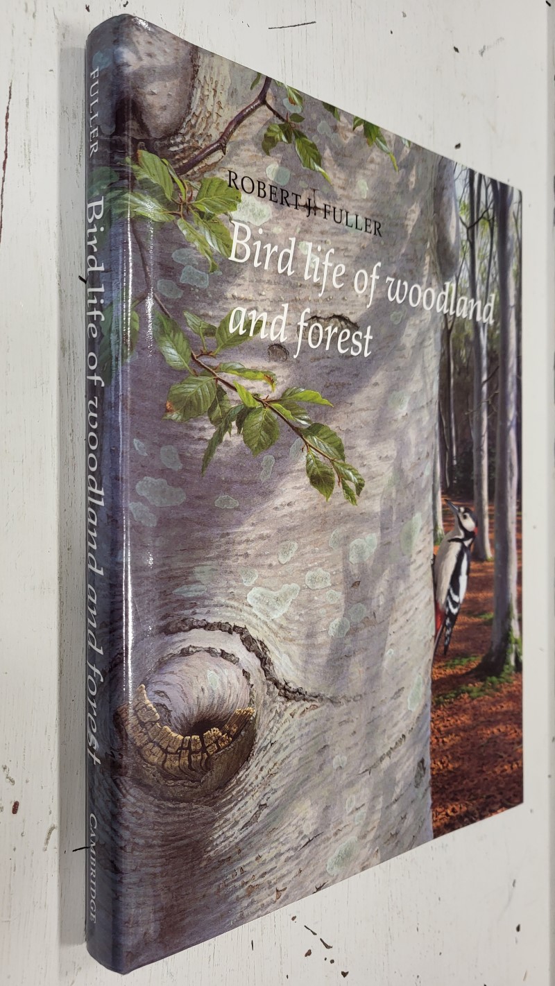 Bird Life of Woodland and Forest