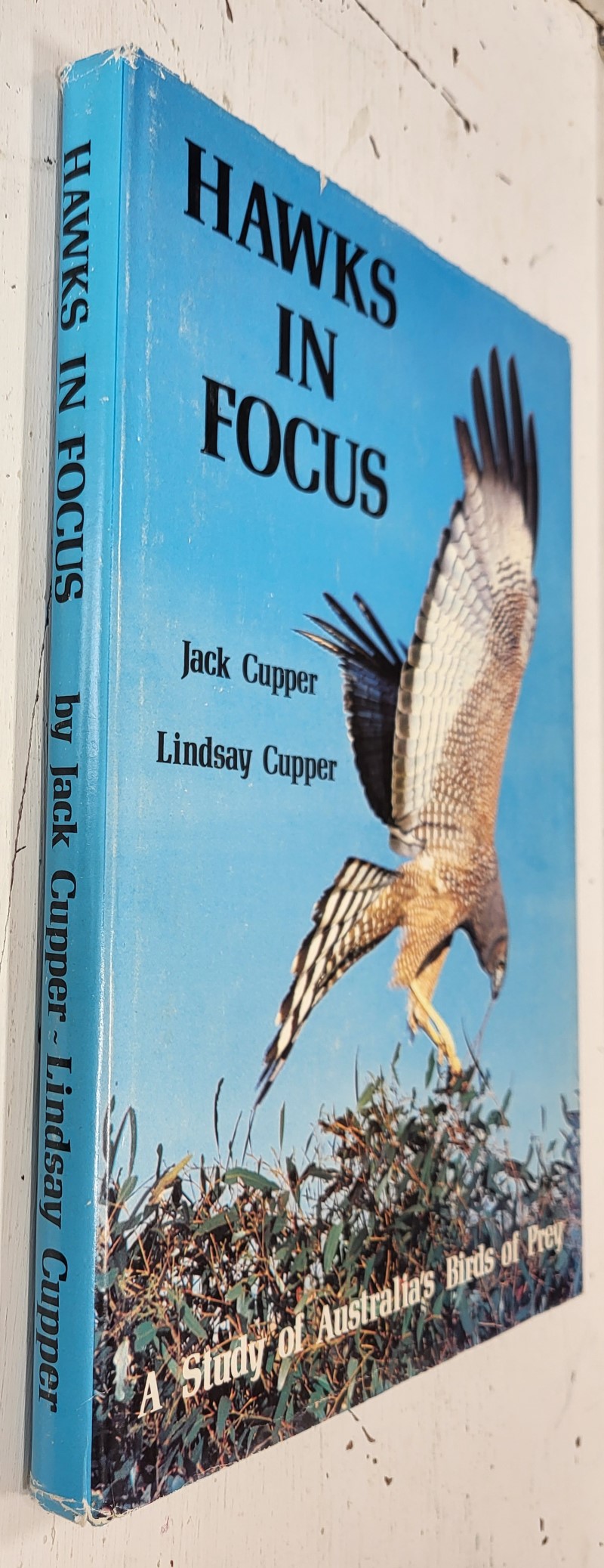 Hawks in Focus: A study of Australia's Birds of Prey