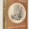 How I draw Birds