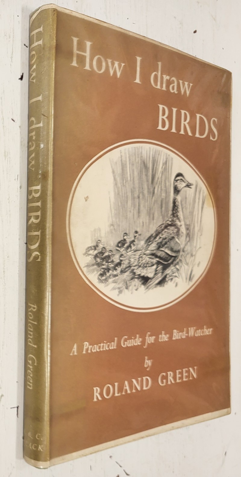 How I draw Birds