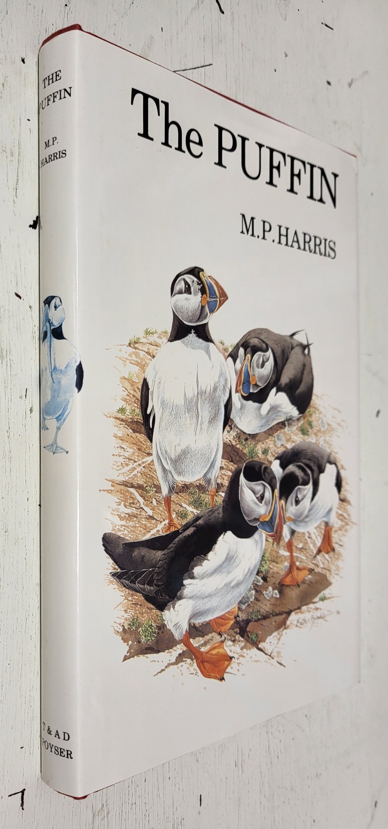 The Puffin