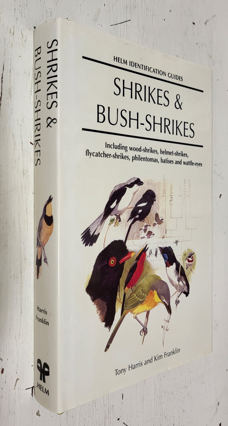 Shrikes & Bush-Shrikes