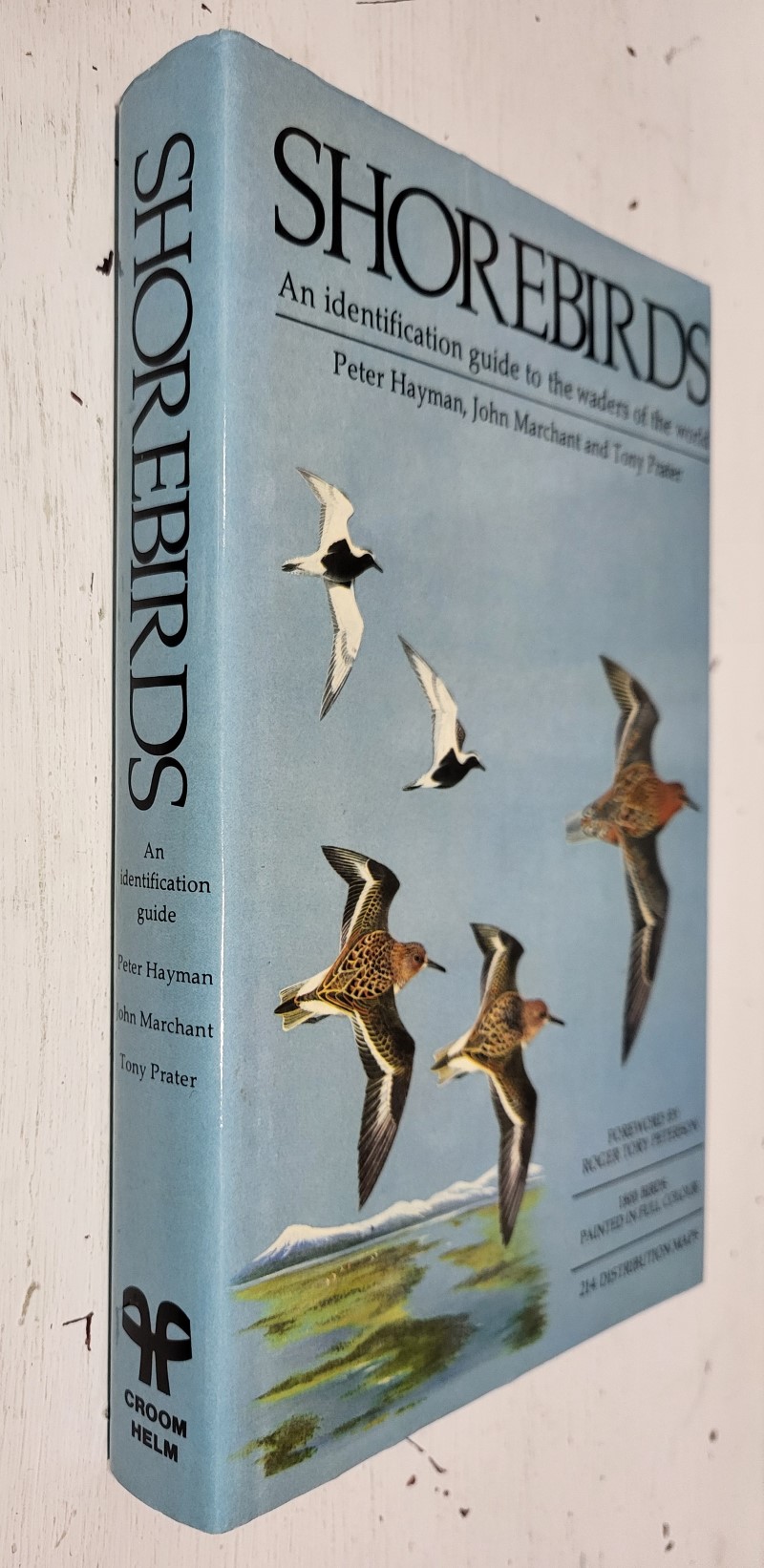 Shorebirds: An identification guide to the waders of the world