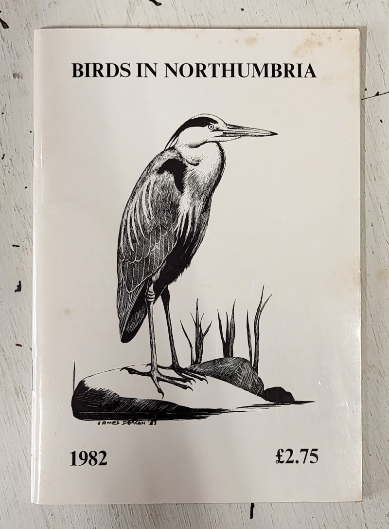 Birds in Northumbria
