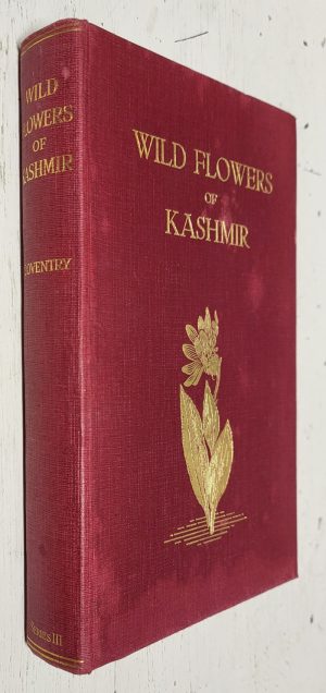 Wild flowers of Kashmir, series 3