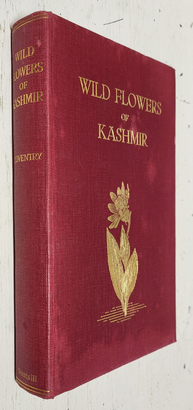 Wild flowers of Kashmir, series 3