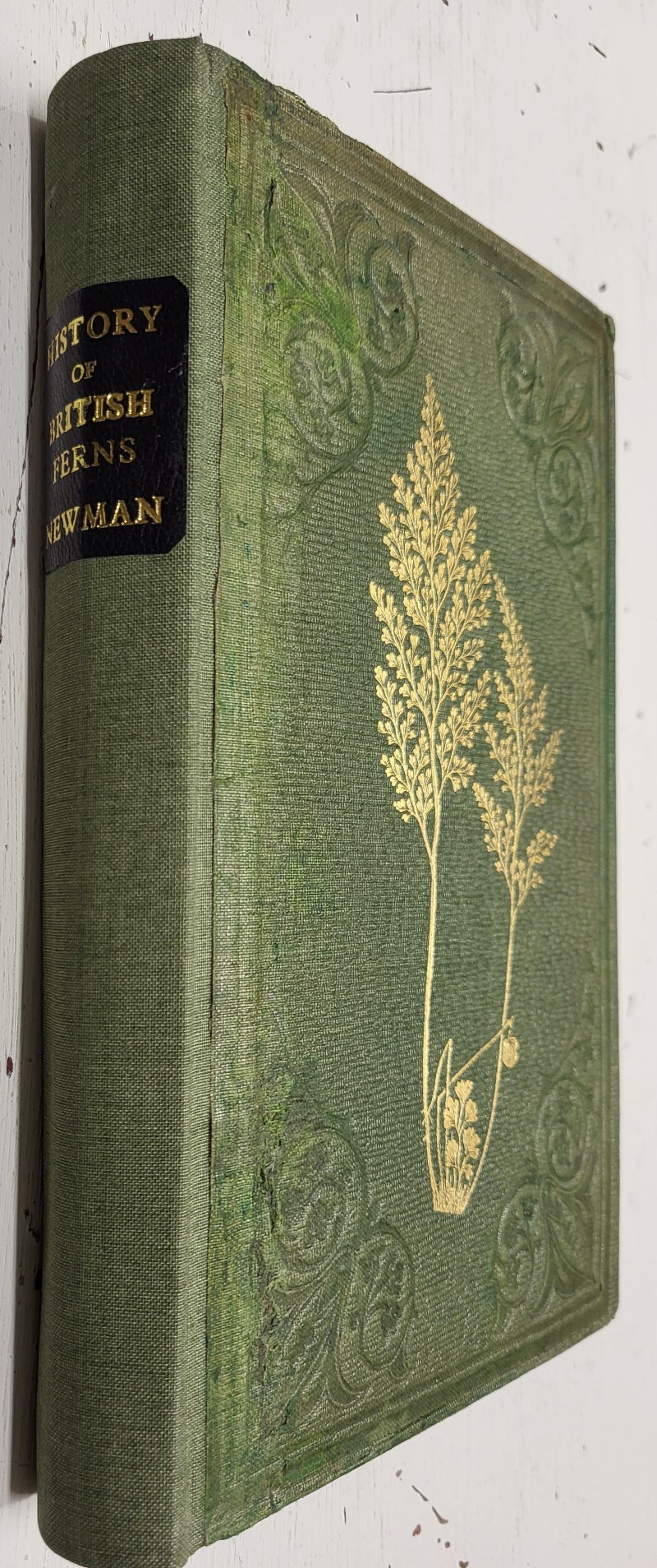 A History of British Ferns