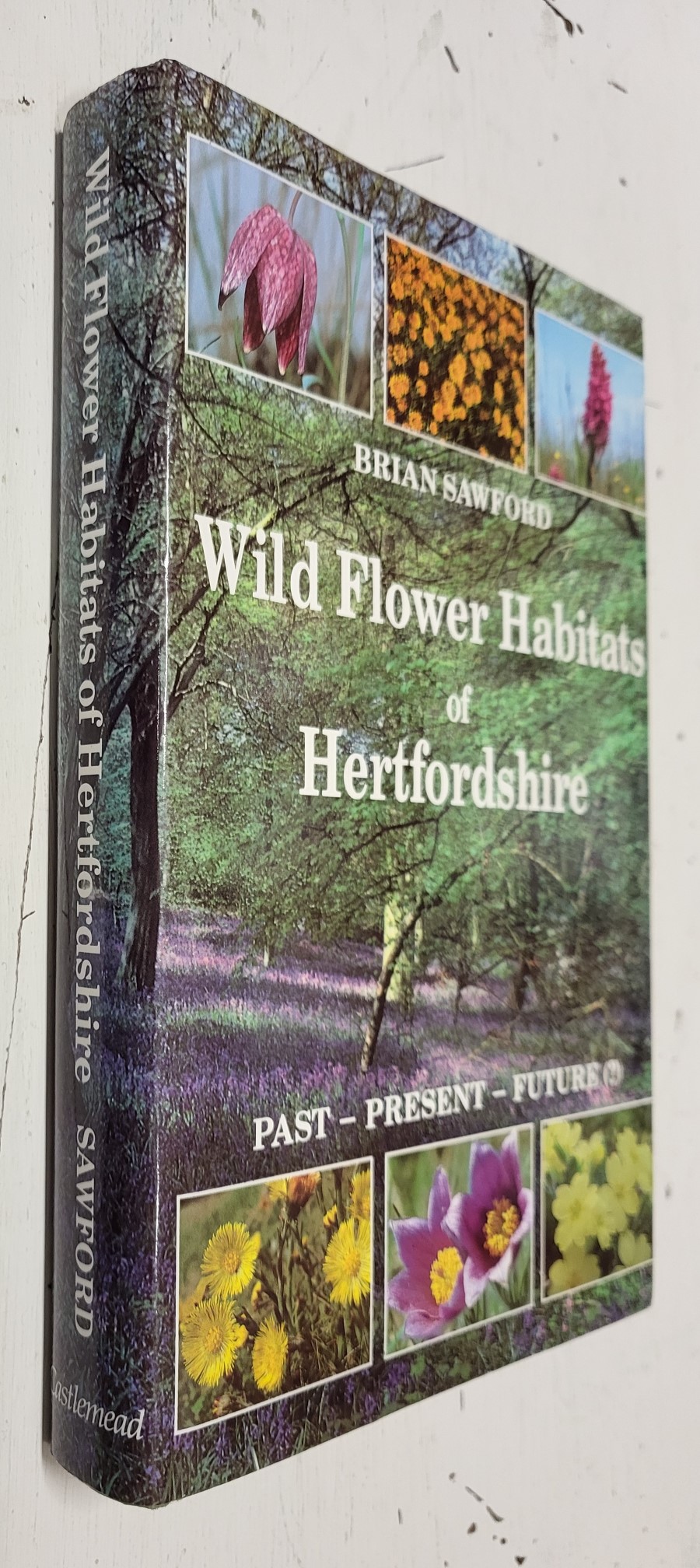 Wild Flower Habitats of Hertfordshire