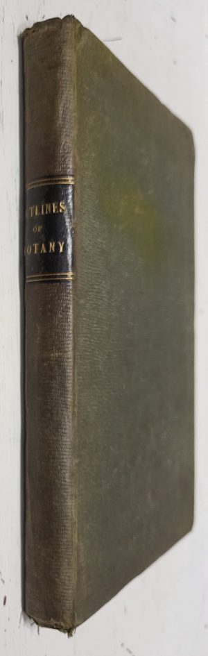 Outlines of Botany (John Cassell's Educational Course)