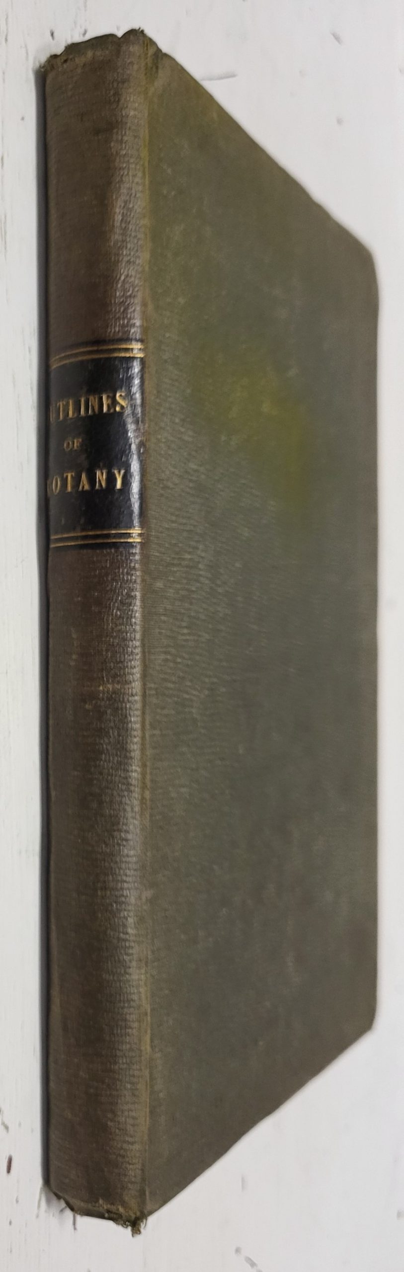Outlines of Botany (John Cassell's Educational Course)