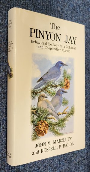 The Pinyon Jay