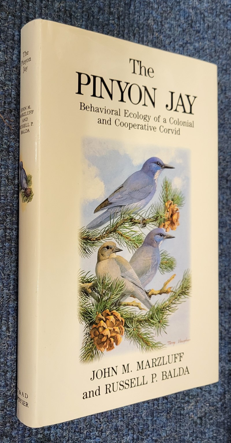 The Pinyon Jay