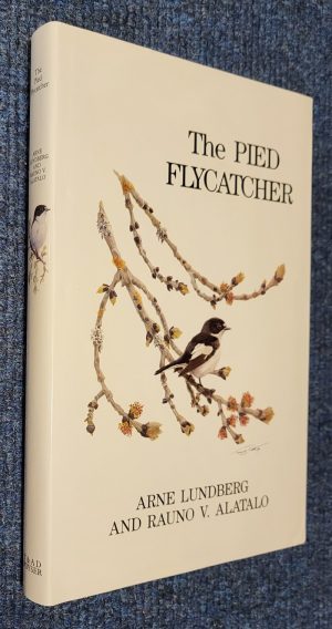 The Pied Flycatcher