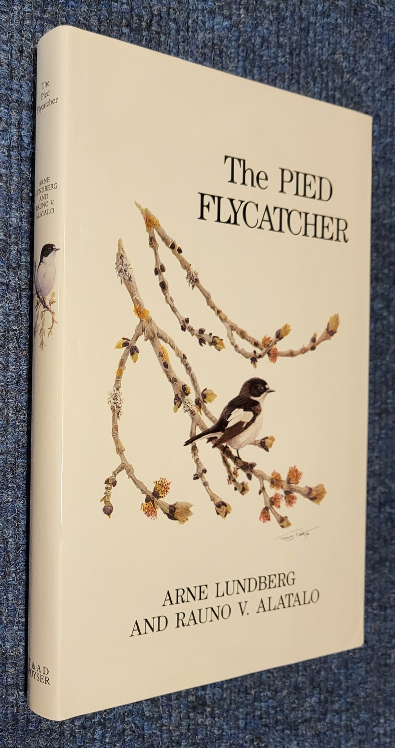 The Pied Flycatcher