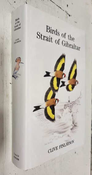 Birds of the Strait of Gibraltar