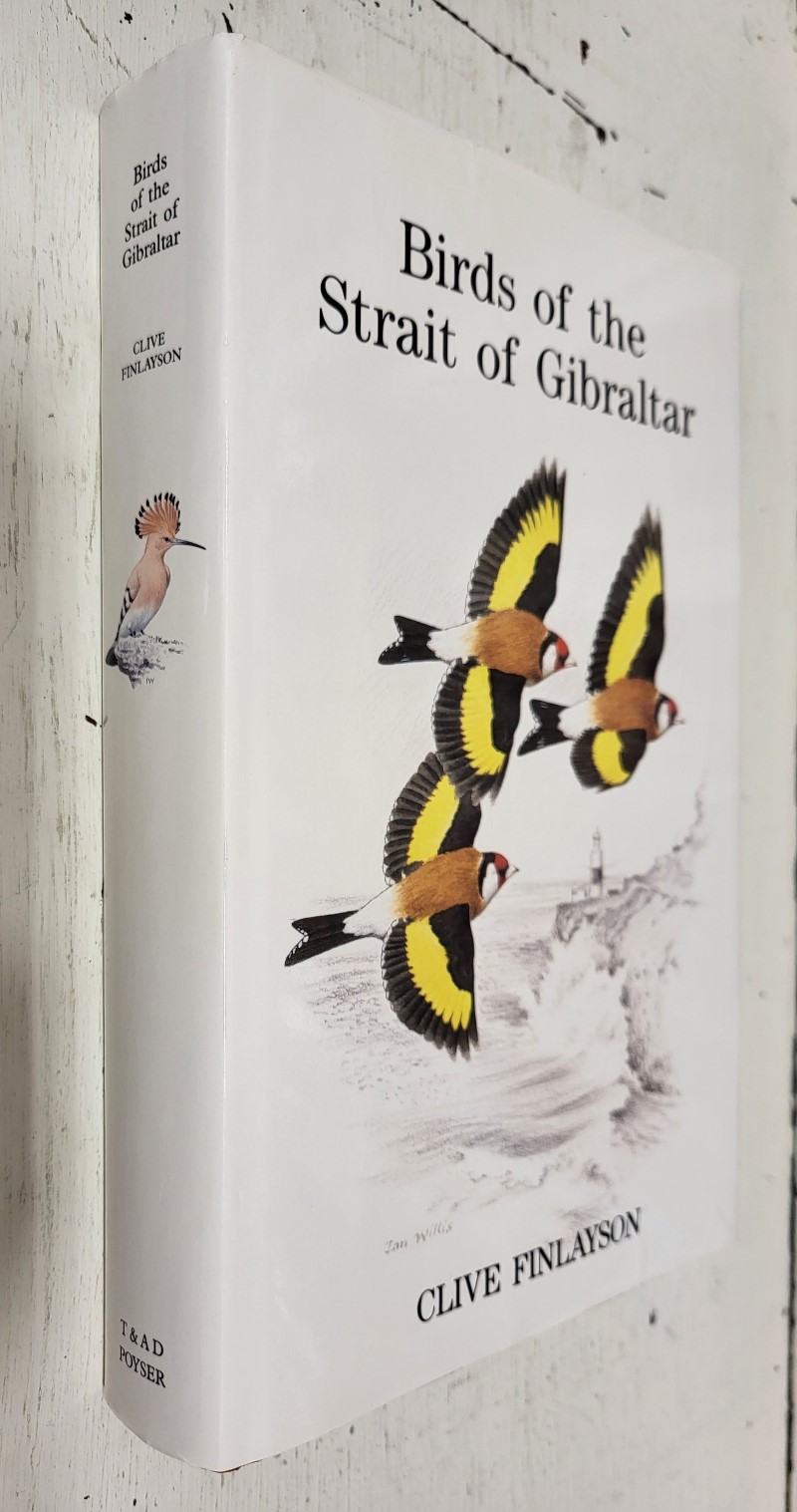 Birds of the Strait of Gibraltar