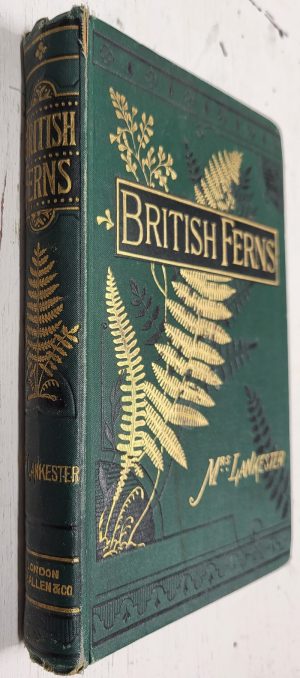 British Ferns