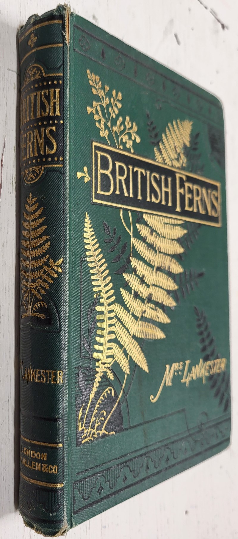 British Ferns