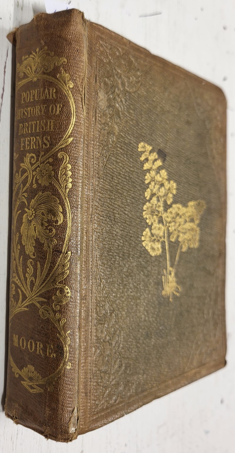 A Popular History of British Ferns