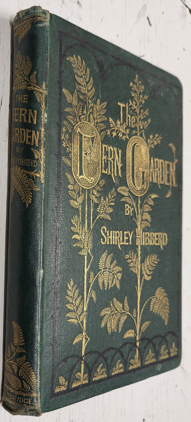 The Fern Garden