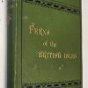 Ferns of the British Isles