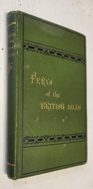 Ferns of the British Isles