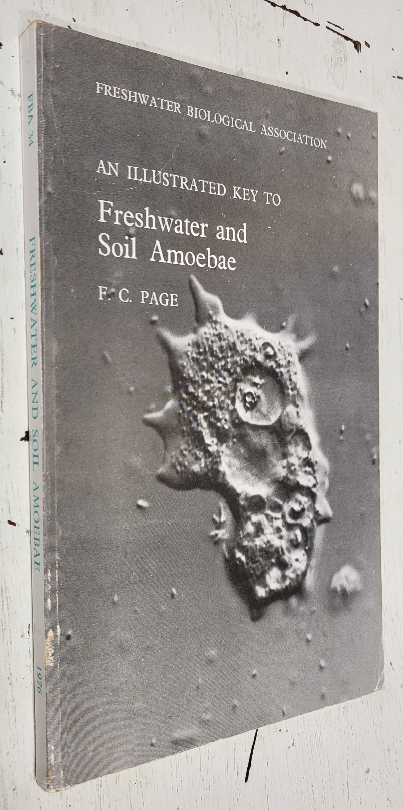 An Illustrated Key to Freshwater and Soil Amoebae