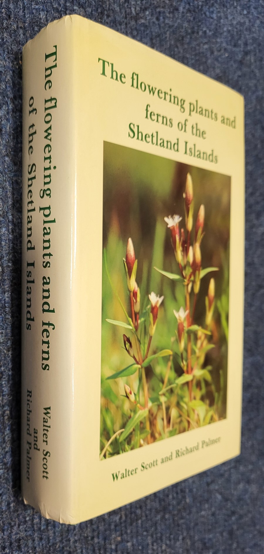 The Flowering Plants and Ferns of the Shetland Islands