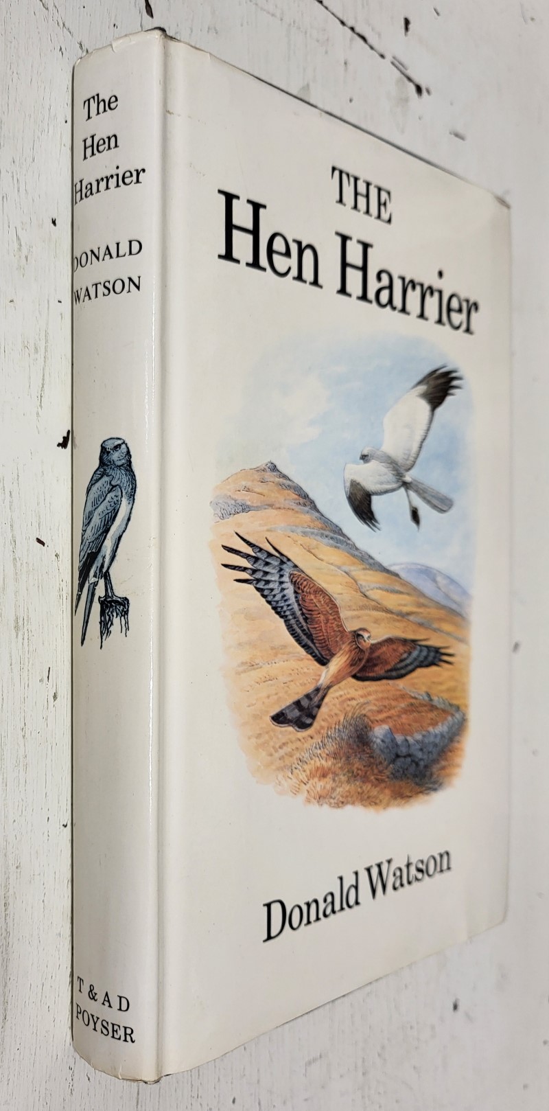 The Hen Harrier