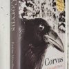 Corvus: A life with birds