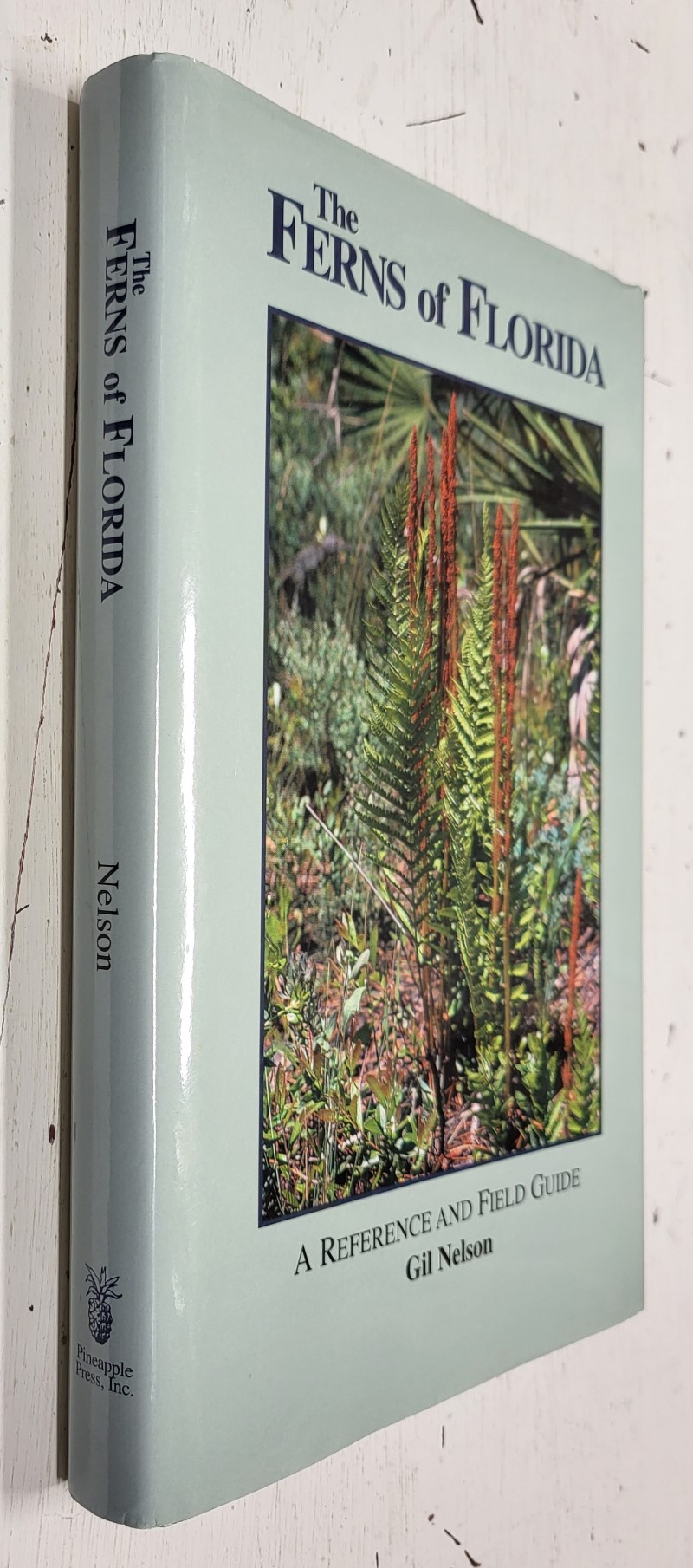 The Ferns of Florida