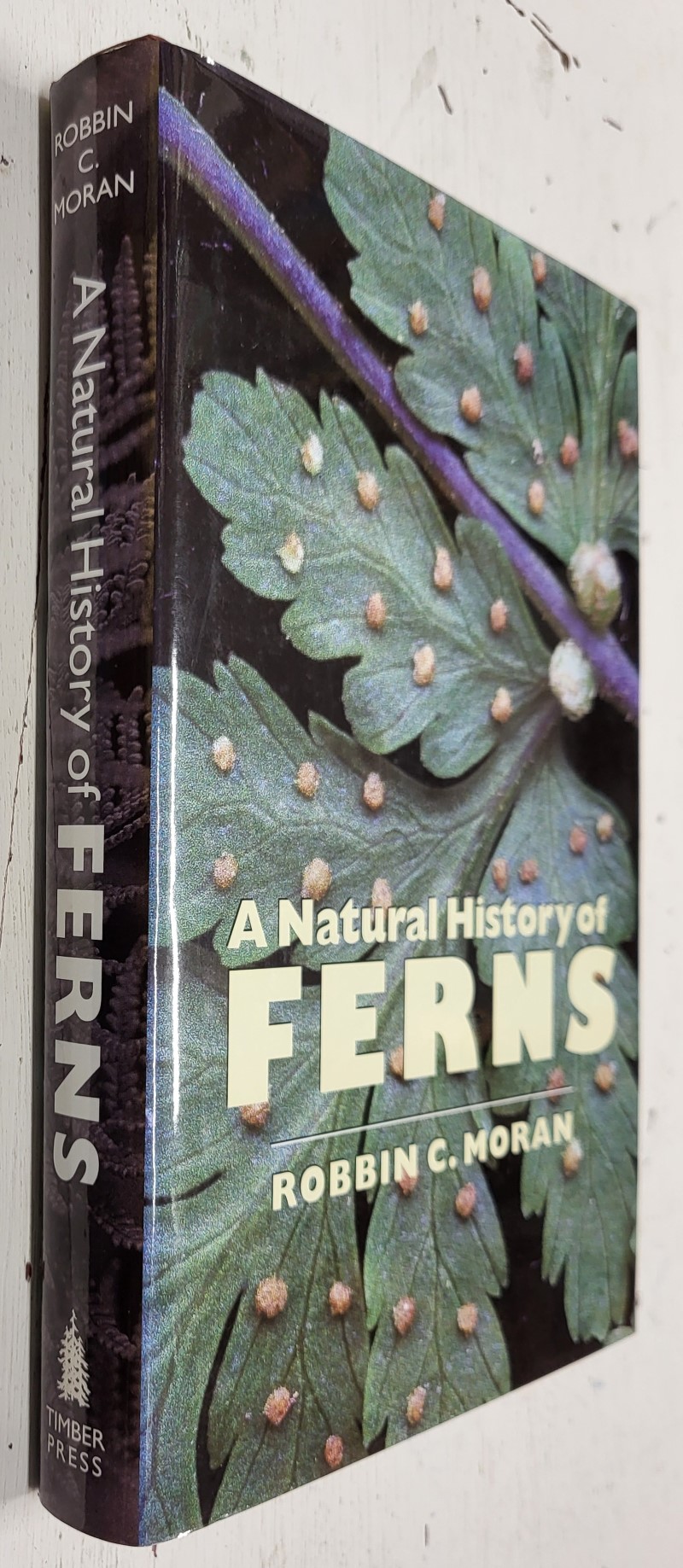 A Natural History of Ferns