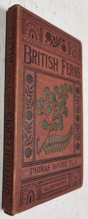 British Ferns and their Allies