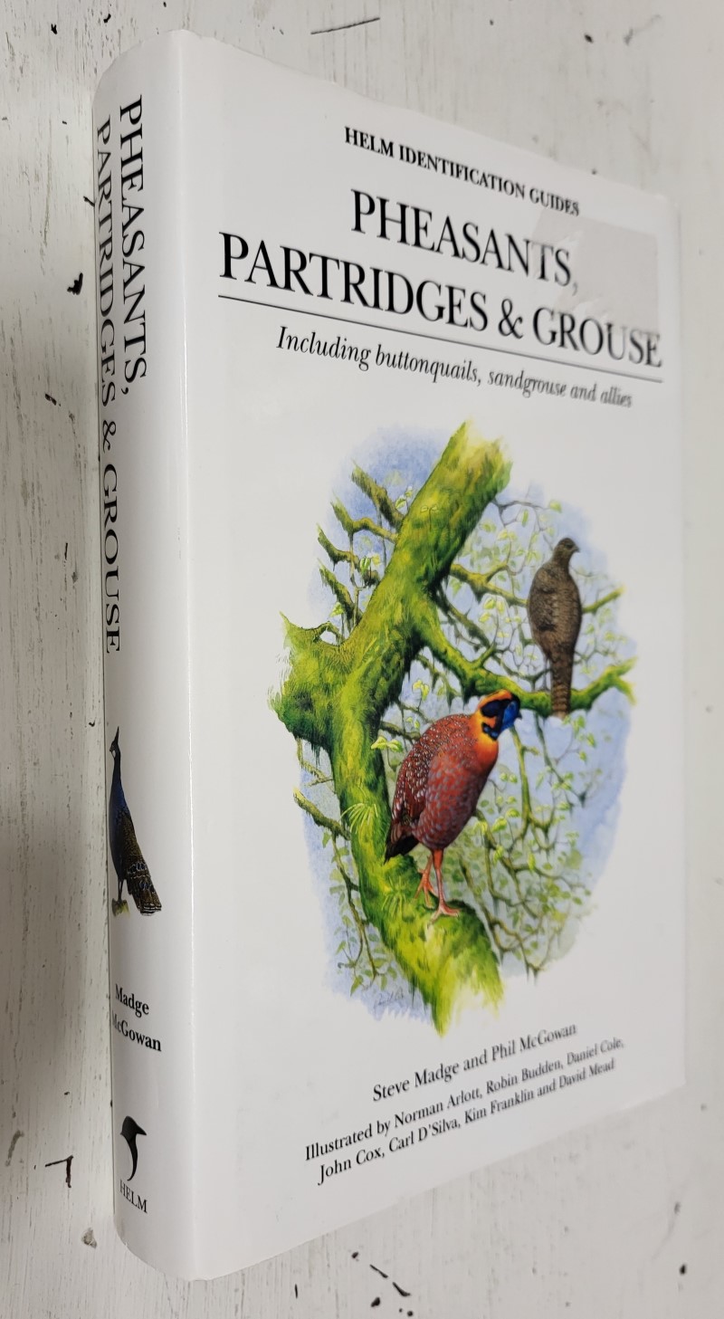 Pheasants, Partridges & Grouse: including buttonquails, sandgrouse and allies
