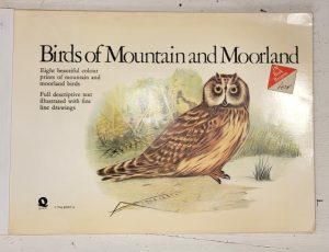 Birds of Mountain and Moorland