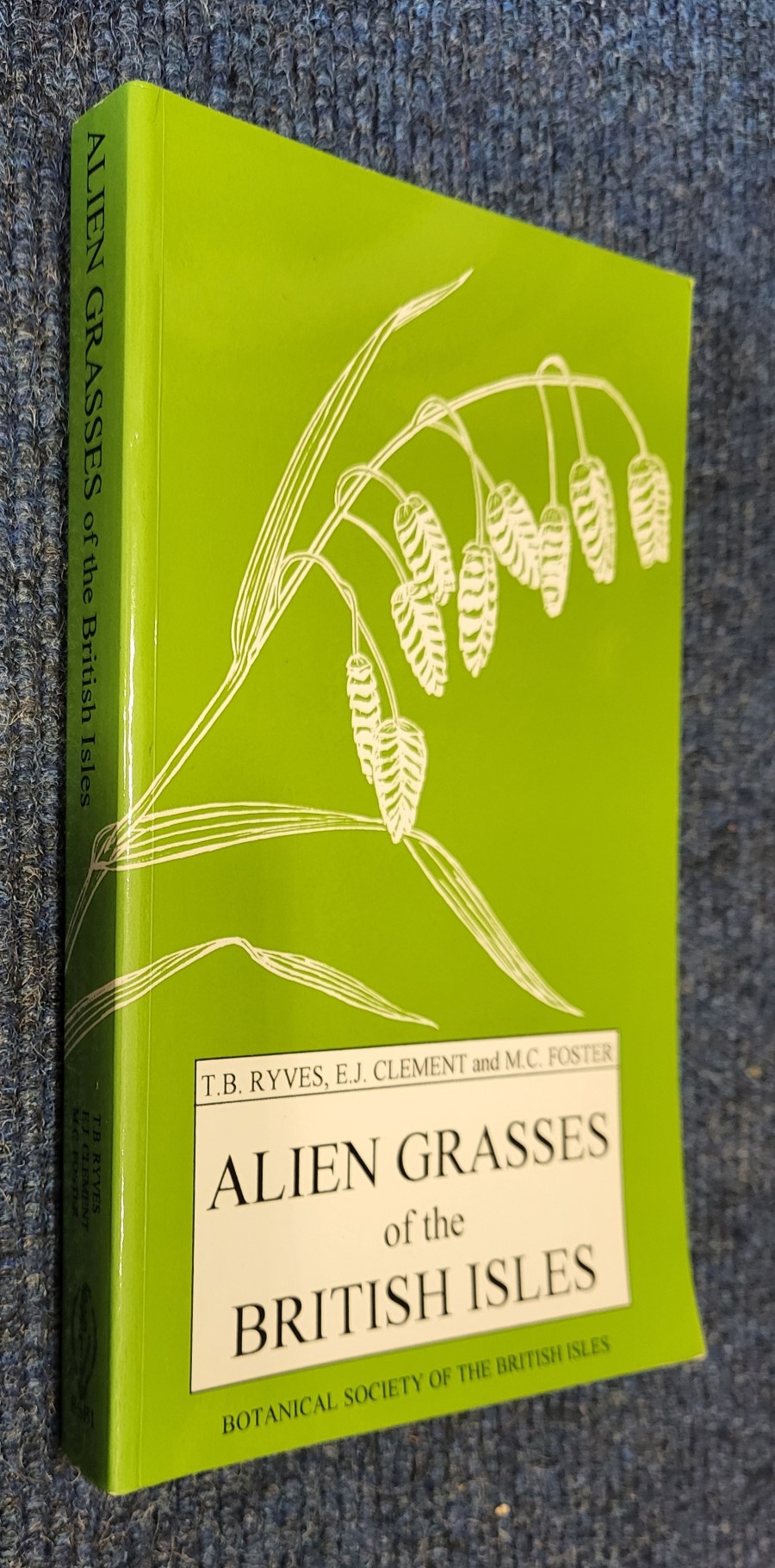 Alien Grasses