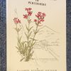 Checklist of the plants of Perthshire