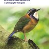 Birds of Madagascar: A Photographic Field Guide book cover