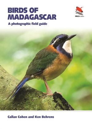 Birds of Madagascar: A Photographic Field Guide book cover