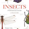Insects of Britain and Europe : A Field Guide book cover