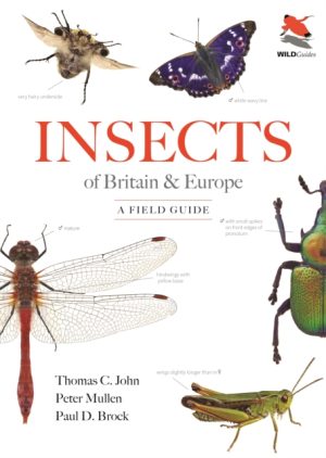 Insects of Britain and Europe : A Field Guide book cover