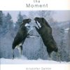 Front cover of Capturing the Moment
