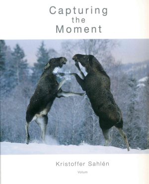 Front cover of Capturing the Moment