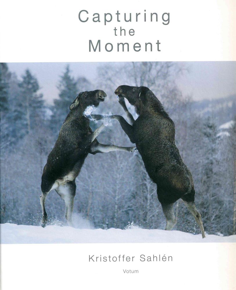 Front cover of Capturing the Moment