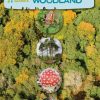 Front cover of Nature Spotters in Trees and Woodland