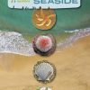Front cover of Nature spotters at the seaside