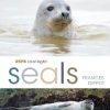 The front cover of RSPB Spotlight Seals