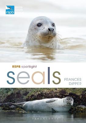 The front cover of RSPB Spotlight Seals