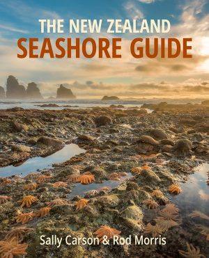 The front cover of The New Zealand Seashore Guide