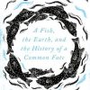 Front cover of Salmon